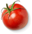Tomate